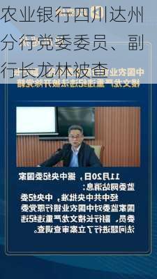 农业银行四川达州分行党委委员、副行长龙林被查