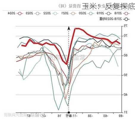 玉米：反复探底