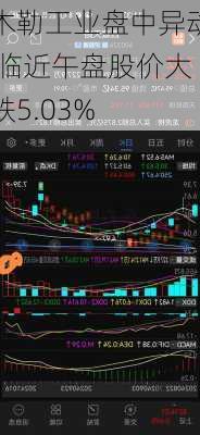 木勒工业盘中异动 临近午盘股价大跌5.03%