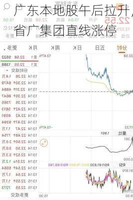 广东本地股午后拉升，省广集团直线涨停