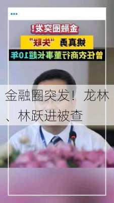 金融圈突发！龙林、林跃进被查