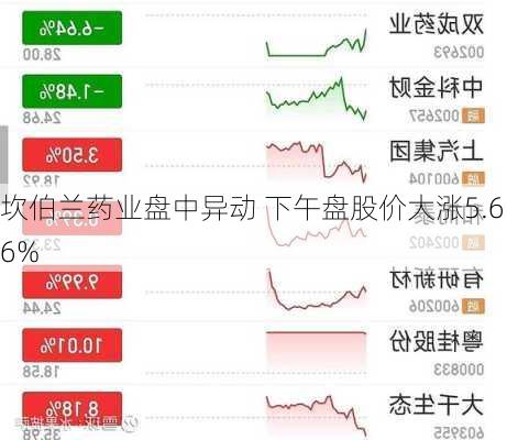 坎伯兰药业盘中异动 下午盘股价大涨5.66%