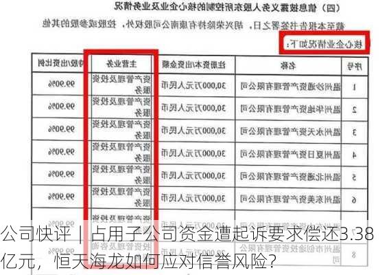 公司快评︱占用子公司资金遭起诉要求偿还3.38亿元，恒天海龙如何应对信誉风险？