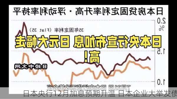 日本央行12月加息预期升温 日本企业大举发债