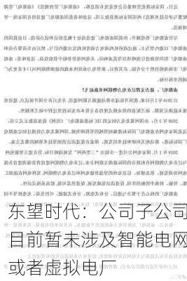 东望时代：公司子公司目前暂未涉及智能电网或者虚拟电厂