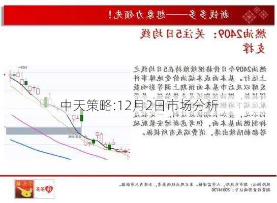 中天策略:12月2日市场分析