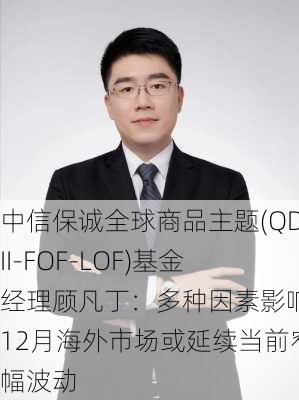 中信保诚全球商品主题(QDII-FOF-LOF)基金经理顾凡丁：多种因素影响，12月海外市场或延续当前窄幅波动