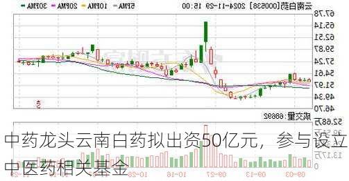 中药龙头云南白药拟出资50亿元，参与设立中医药相关基金