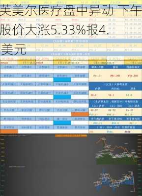 伊芙美尔医疗盘中异动 下午盘股价大涨5.33%报4.35美元