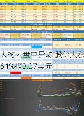 大树云盘中异动 股价大涨5.64%报3.37美元