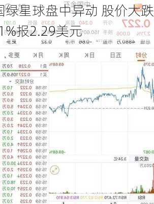 美国绿星球盘中异动 股价大跌6.91%报2.29美元