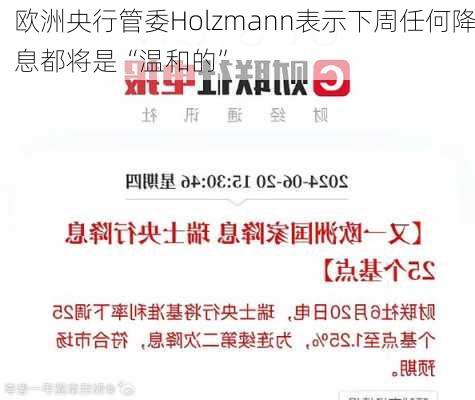 欧洲央行管委Holzmann表示下周任何降息都将是“温和的”