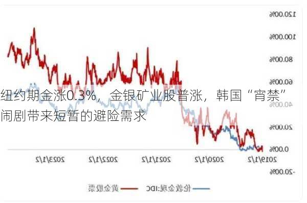 纽约期金涨0.3%，金银矿业股普涨，韩国“宵禁”闹剧带来短暂的避险需求