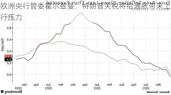 欧洲央行管委霍尔兹曼：特朗普关税将给通胀带来上行压力