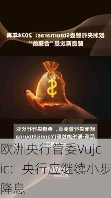 欧洲央行管委Vujcic：央行应继续小步降息