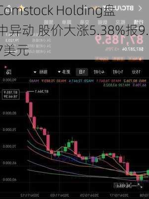 Comstock Holding盘中异动 股价大涨5.38%报9.17美元