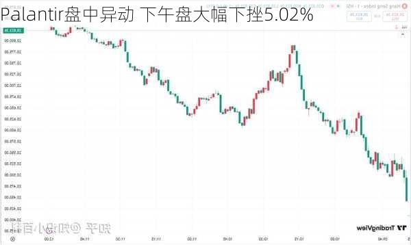 Palantir盘中异动 下午盘大幅下挫5.02%