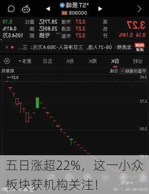 五日涨超22%，这一小众板块获机构关注！