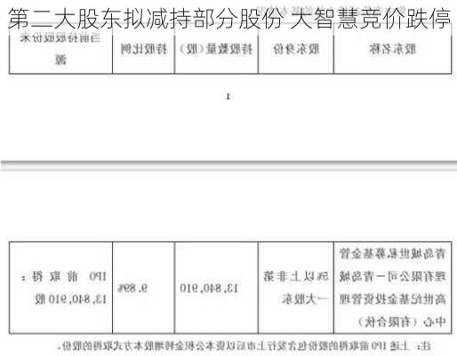 第二大股东拟减持部分股份 大智慧竞价跌停