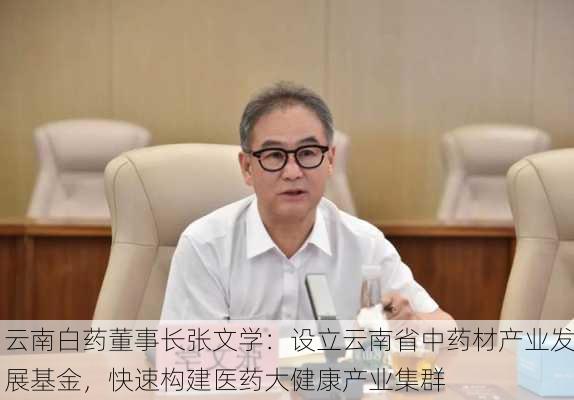 云南白药董事长张文学：设立云南省中药材产业发展基金，快速构建医药大健康产业集群