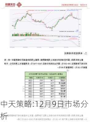 中天策略:12月9日市场分析