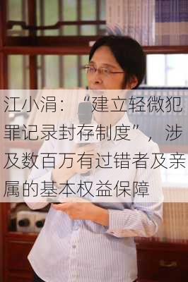 江小涓：“建立轻微犯罪记录封存制度”，涉及数百万有过错者及亲属的基本权益保障