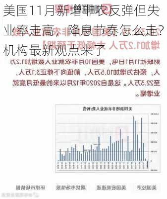 美国11月新增非农反弹但失业率走高，降息节奏怎么走？机构最新观点来了