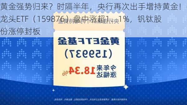 黄金强势归来？时隔半年，央行再次出手增持黄金！有色龙头ETF（159876）盘中涨超1．1%，钒钛股份涨停封板