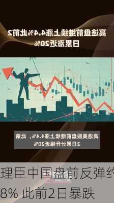 理臣中国盘前反弹约8% 此前2日暴跌