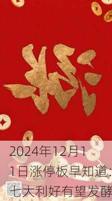 2024年12月11日涨停板早知道：七大利好有望发酵