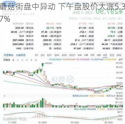 蘑菇街盘中异动 下午盘股价大涨5.37%