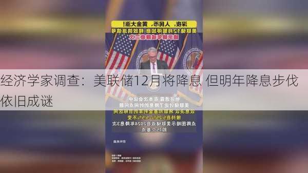 经济学家调查：美联储12月将降息 但明年降息步伐依旧成谜