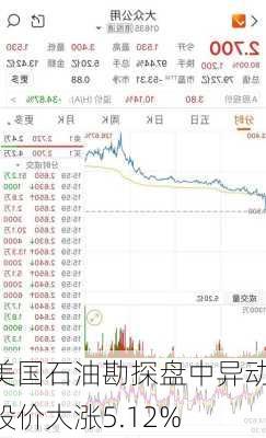 美国石油勘探盘中异动 股价大涨5.12%