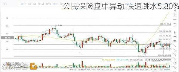 公民保险盘中异动 快速跳水5.80%