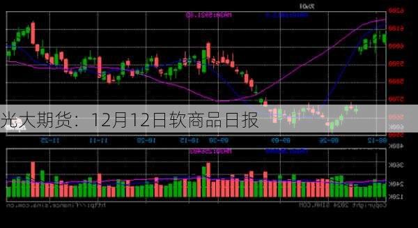 光大期货：12月12日软商品日报