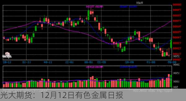 光大期货：12月12日有色金属日报