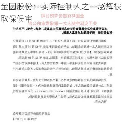 金圆股份：实际控制人之一赵辉被取保候审