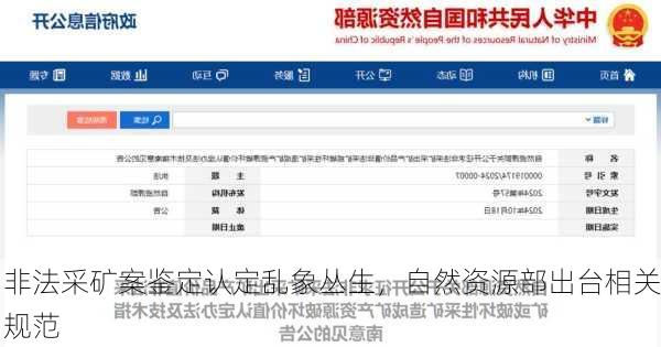 非法采矿案鉴定认定乱象丛生，自然资源部出台相关规范