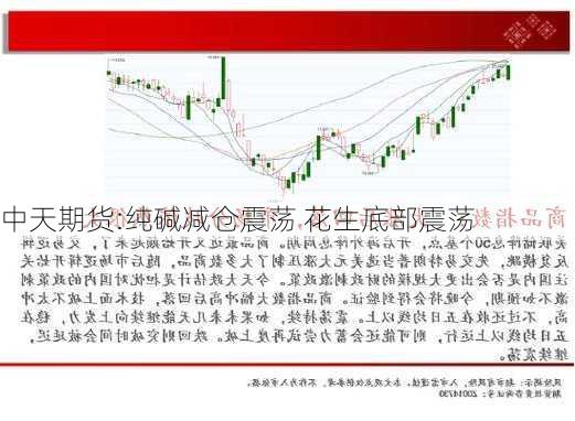 中天期货:纯碱减仓震荡 花生底部震荡