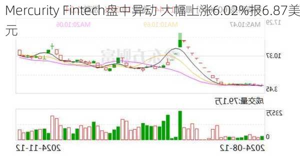 Mercurity Fintech盘中异动 大幅上涨6.02%报6.87美元