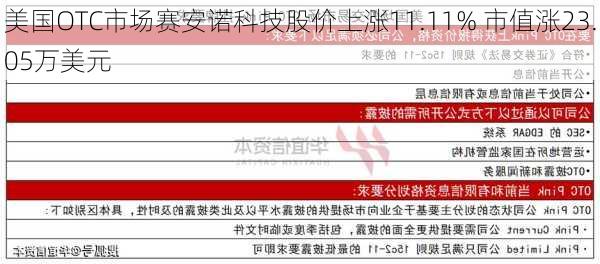 美国OTC市场赛安诺科技股价上涨11.11% 市值涨23.05万美元