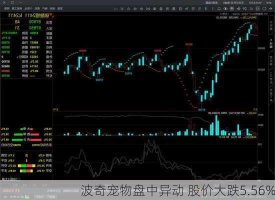 波奇宠物盘中异动 股价大跌5.56%