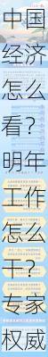 中国经济怎么看？明年工作怎么干？专家权威解读