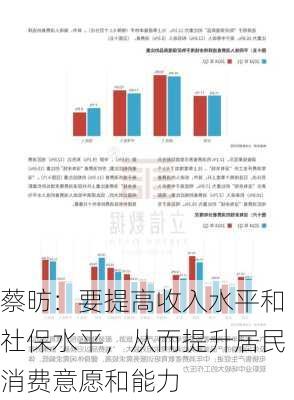 蔡昉：要提高收入水平和社保水平，从而提升居民消费意愿和能力